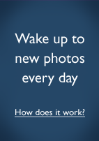 Wake up to new photos every day